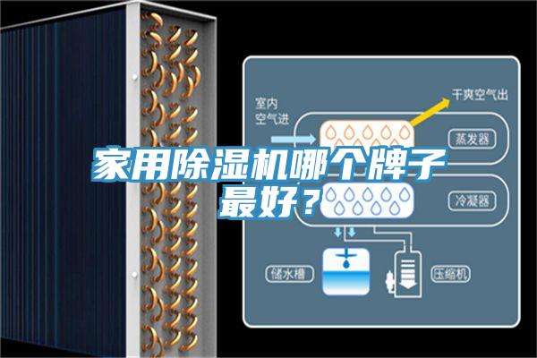 家用除濕機(jī)哪個(gè)牌子最好？