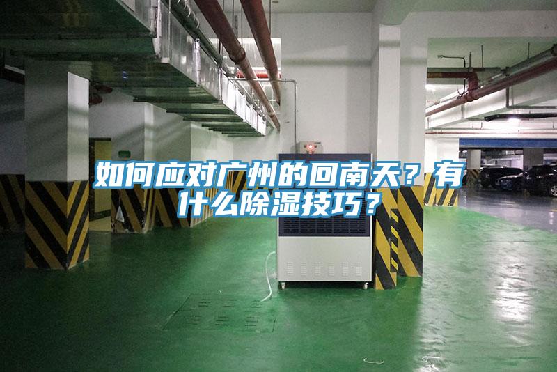 如何應對廣州的回南天？有什么除濕技巧？