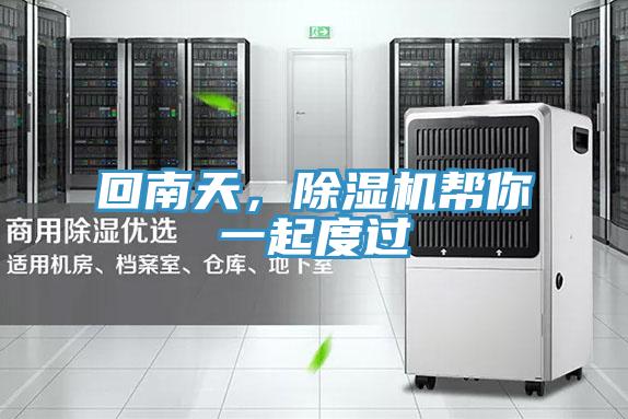 回南天，除濕機幫你一起度過