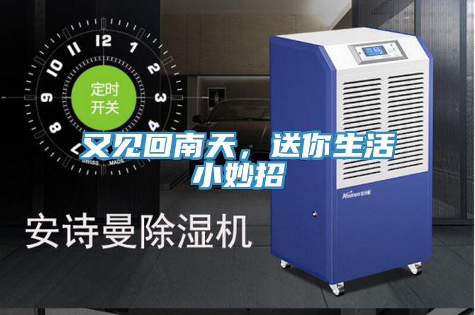 又見回南天，送你生活小妙招