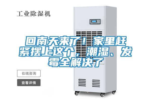回南天來了！家里趕緊擺上這個，潮濕、發(fā)霉全解決了