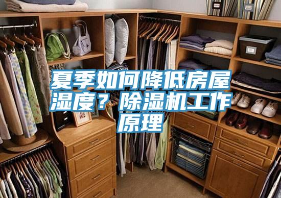 夏季如何降低房屋濕度？除濕機(jī)工作原理