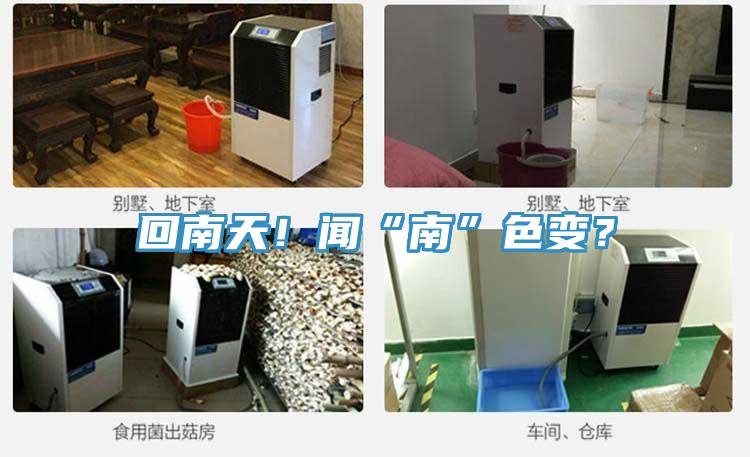 回南天！聞“南”色變？