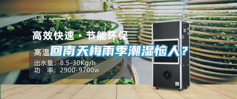 回南天梅雨季潮濕惱人？
