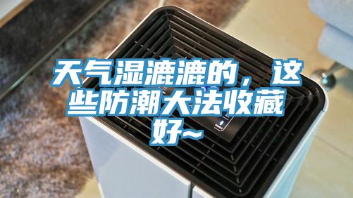 天氣濕漉漉的，這些防潮大法收藏好~