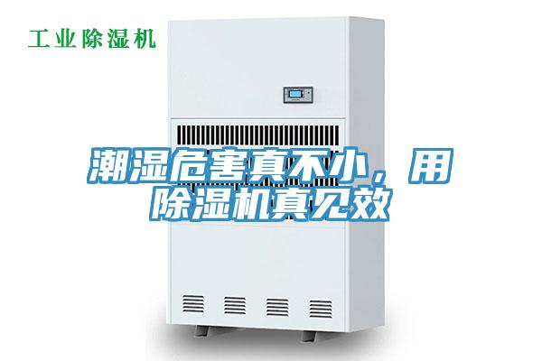 潮濕危害真不小，用除濕機(jī)真見效