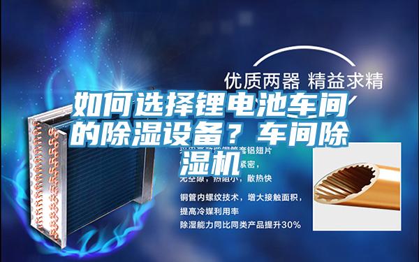 如何選擇鋰電池車間的除濕設(shè)備？車間除濕機(jī)