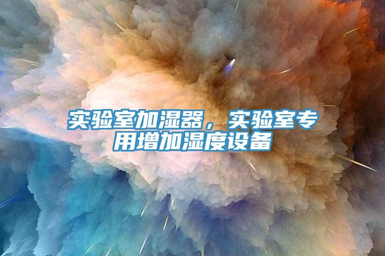 實(shí)驗(yàn)室加濕器，實(shí)驗(yàn)室專用增加濕度設(shè)備