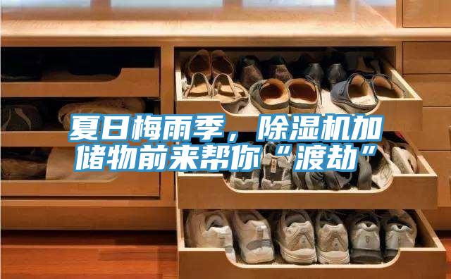 夏日梅雨季，除濕機加儲物前來幫你“渡劫”