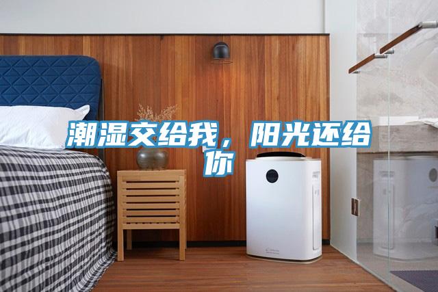 潮濕交給我，陽光還給你