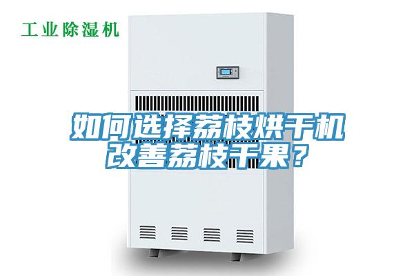 如何選擇荔枝烘干機改善荔枝干果？