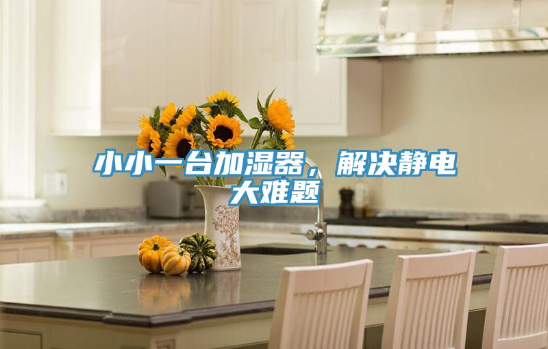 小小一臺加濕器，解決靜電大難題