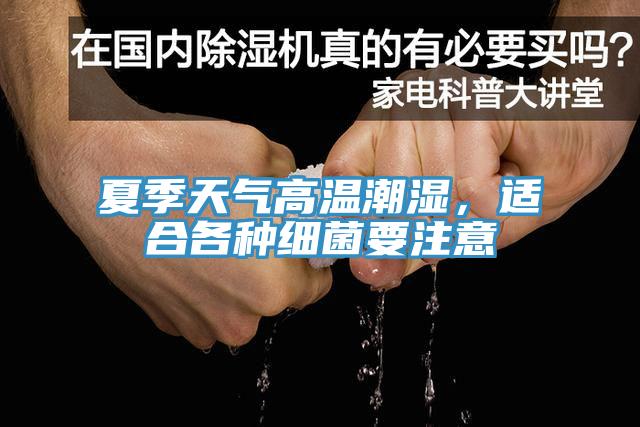 夏季天氣高溫潮濕，適合各種細菌要注意