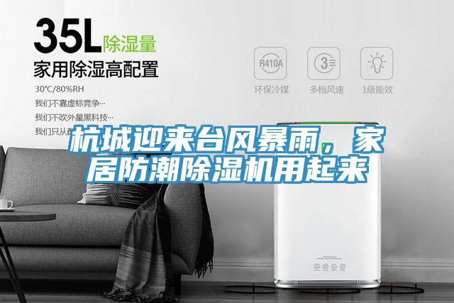 杭城迎來臺風暴雨，家居防潮除濕機用起來