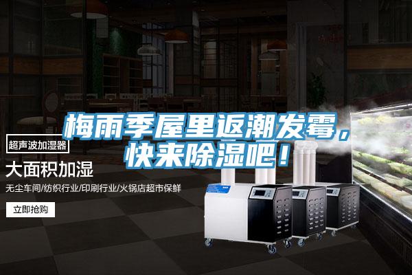 梅雨季屋里返潮發(fā)霉，快來(lái)除濕吧！