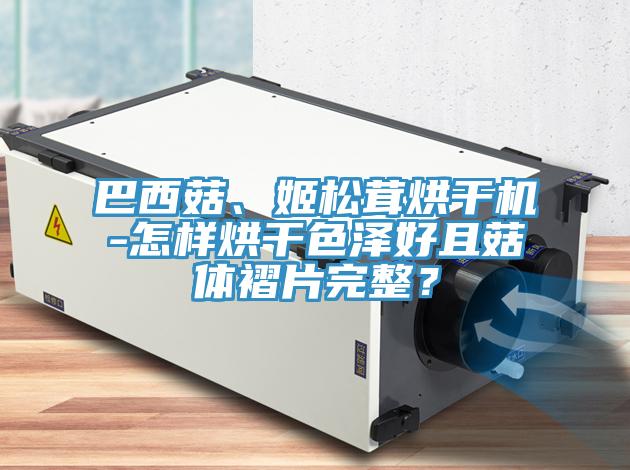 巴西菇、姬松茸烘干機-怎樣烘干色澤好且菇體褶片完整？
