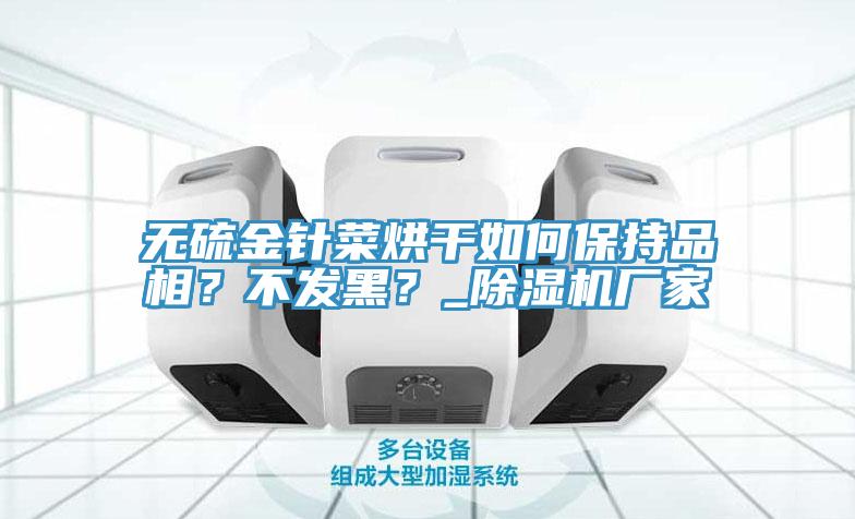 無硫金針菜烘干如何保持品相？不發(fā)黑？_除濕機(jī)廠家