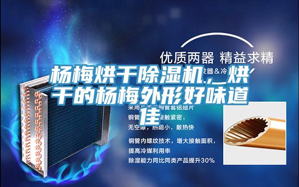 楊梅烘干除濕機，烘干的楊梅外形好味道佳