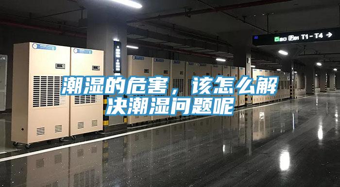 潮濕的危害，該怎么解決潮濕問題呢