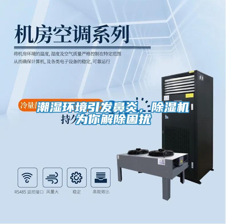 潮濕環(huán)境引發(fā)鼻炎，除濕機(jī)為你解除困擾