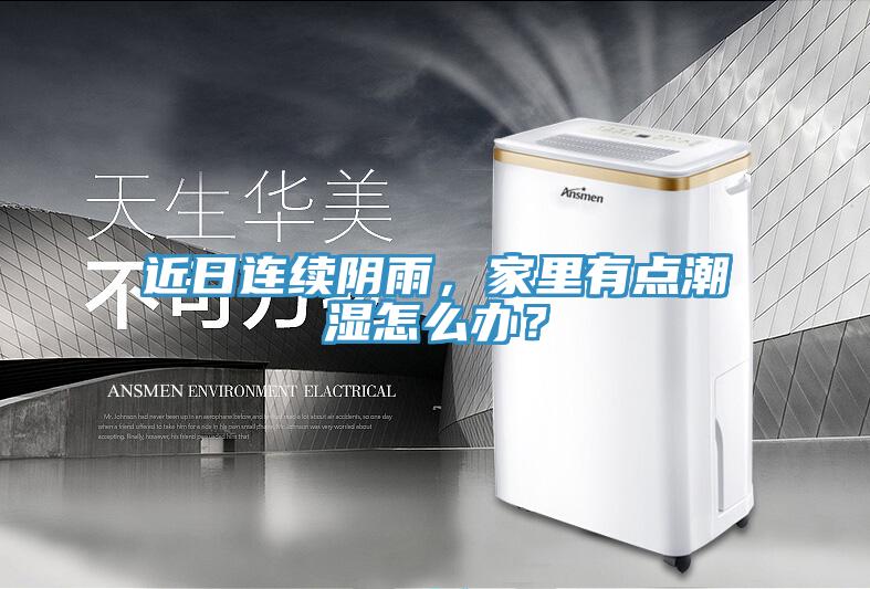 近日連續(xù)陰雨，家里有點潮濕怎么辦？