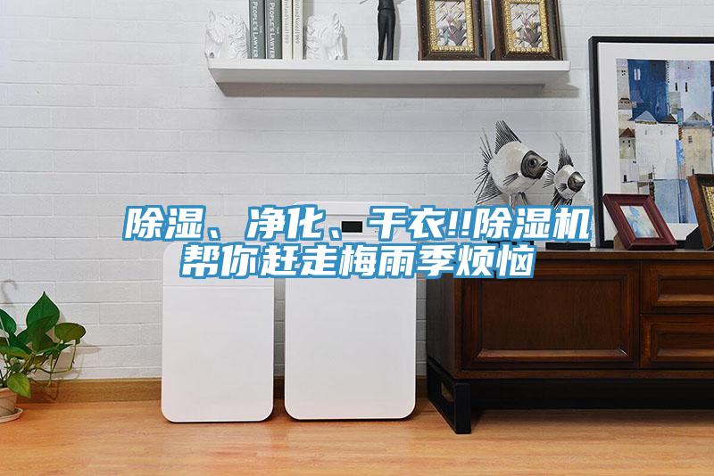 除濕、凈化、干衣!!除濕機(jī)幫你趕走梅雨季煩惱