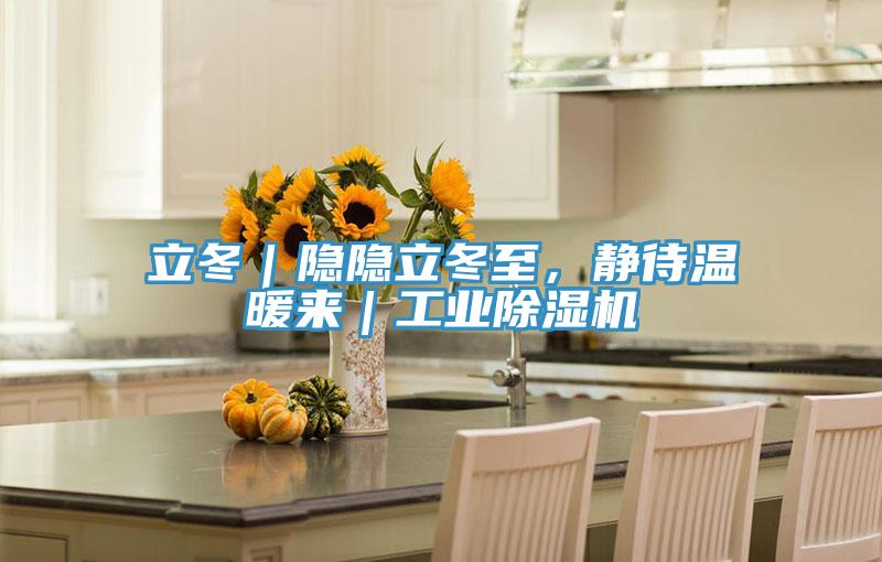 立冬｜隱隱立冬至，靜待溫暖來(lái)｜工業(yè)除濕機(jī)