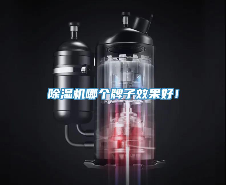 除濕機(jī)哪個(gè)牌子效果好！
