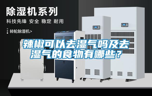 辣椒可以去濕氣嗎及去濕氣的食物有哪些？