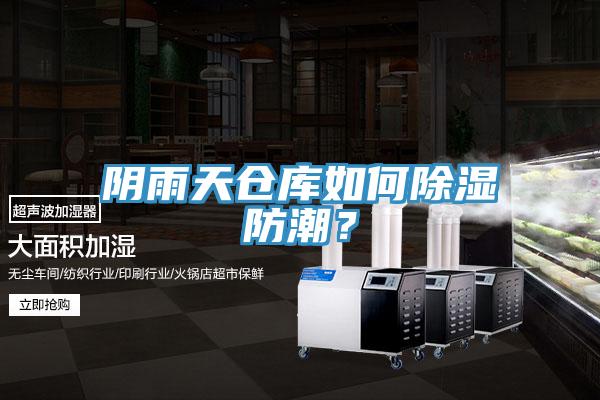 陰雨天倉庫如何除濕防潮？