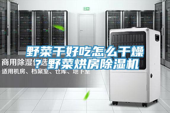 野菜干好吃怎么干燥？野菜烘房除濕機(jī)
