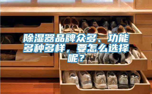 除濕器品牌眾多、功能多種多樣，要怎么選擇呢？