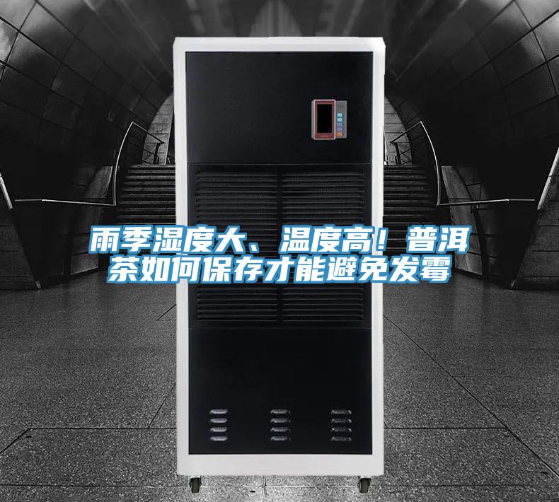 雨季濕度大、溫度高！普洱茶如何保存才能避免發(fā)霉