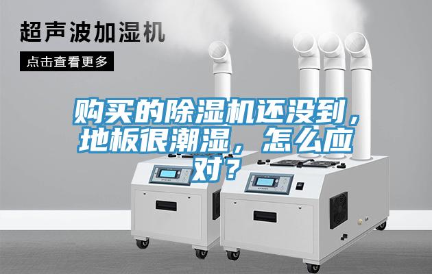購買的除濕機(jī)還沒到，地板很潮濕，怎么應(yīng)對？