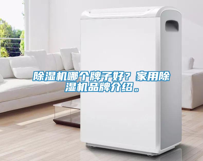 除濕機(jī)哪個(gè)牌子好？家用除濕機(jī)品牌介紹。