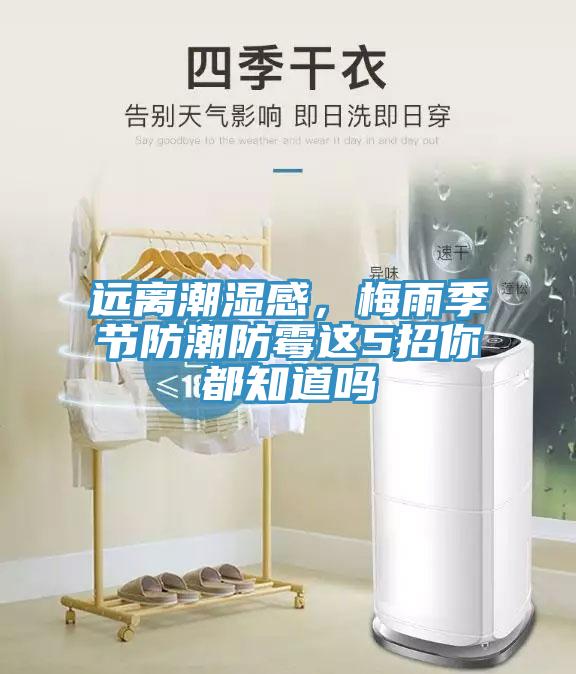 遠離潮濕感，梅雨季節(jié)防潮防霉這5招你都知道嗎