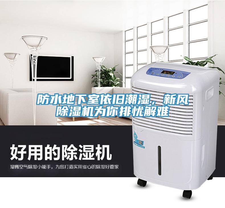 防水地下室依舊潮濕，新風(fēng)除濕機為你排憂解難