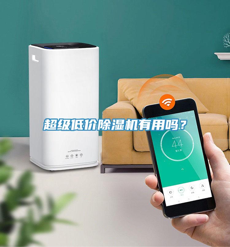 超級低價(jià)除濕機(jī)有用嗎？