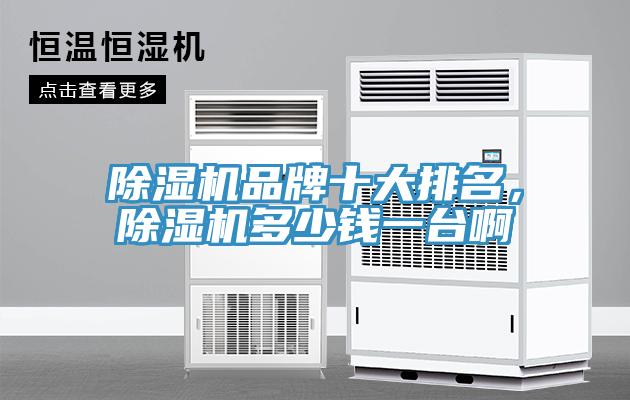 除濕機(jī)品牌十大排名，除濕機(jī)多少錢一臺(tái)啊