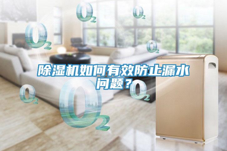除濕機(jī)如何有效防止漏水問題？