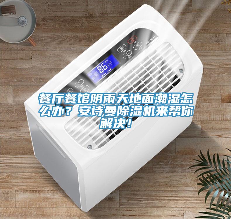 餐廳餐館陰雨天地面潮濕怎么辦？安詩曼除濕機來幫你解決！