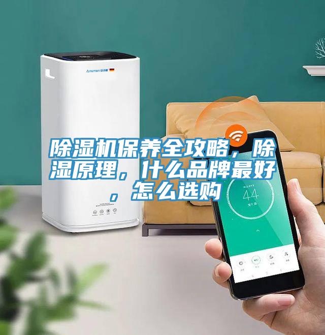 除濕機(jī)保養(yǎng)全攻略，除濕原理，什么品牌最好，怎么選購