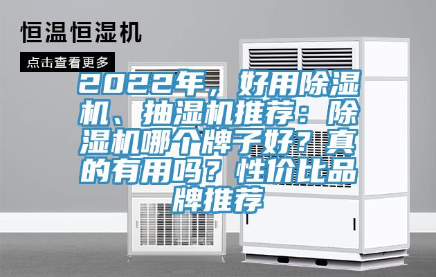 2022年，好用除濕機、抽濕機推薦：除濕機哪個牌子好？真的有用嗎？性價比品牌推薦