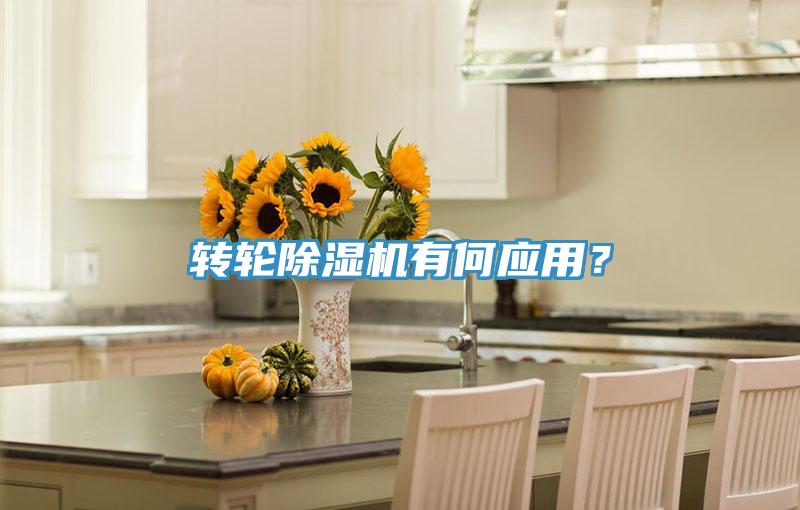轉(zhuǎn)輪除濕機(jī)有何應(yīng)用？