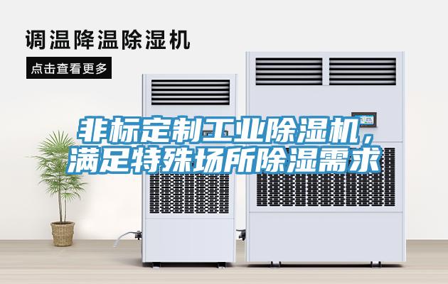 非標(biāo)定制工業(yè)除濕機(jī)，滿足特殊場(chǎng)所除濕需求
