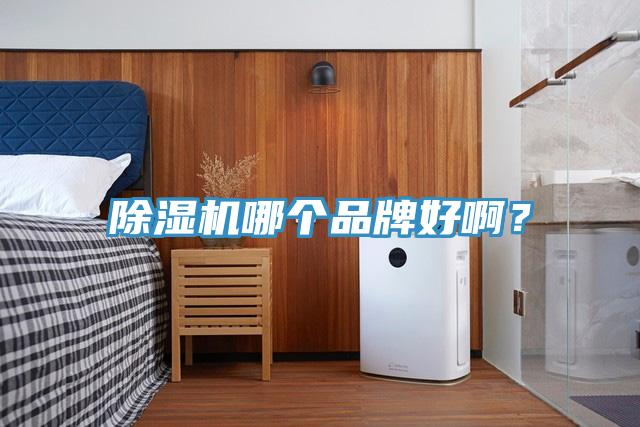 除濕機(jī)哪個(gè)品牌好?。?></div>
								<div   id=