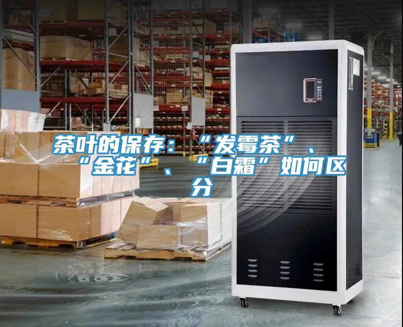 茶葉的保存：“發(fā)霉茶”、“金花”、“白霜”如何區(qū)分