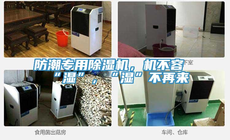 防潮專用除濕機(jī)，機(jī)不容“濕”，“濕”不再來