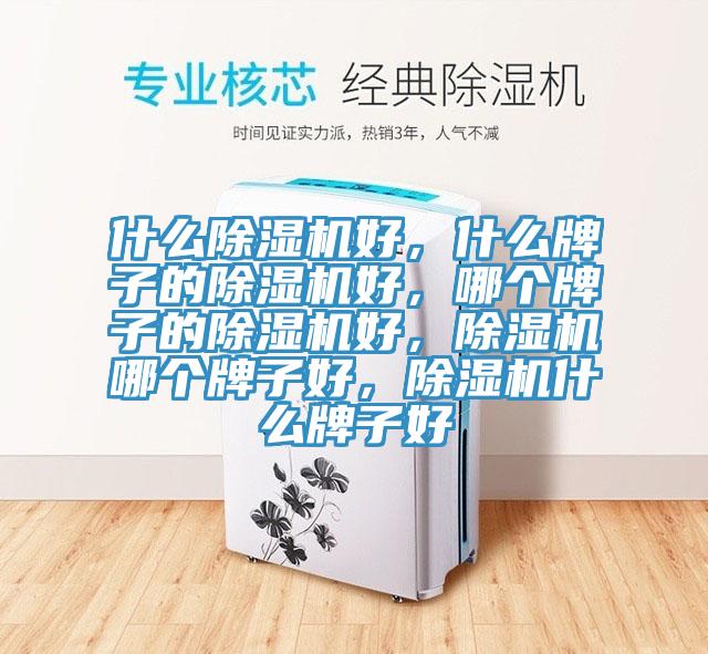 什么除濕機(jī)好，什么牌子的除濕機(jī)好，哪個(gè)牌子的除濕機(jī)好，除濕機(jī)哪個(gè)牌子好，除濕機(jī)什么牌子好