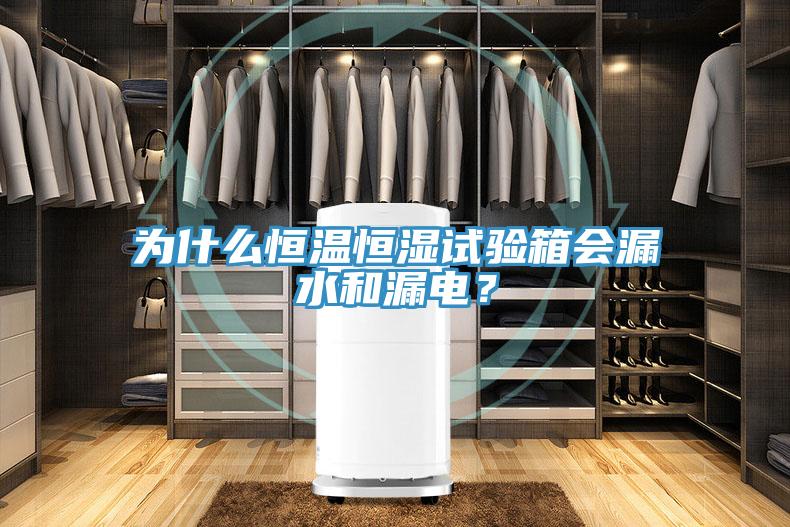 為什么恒溫恒濕試驗箱會漏水和漏電？